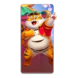 Fortune
Tiger